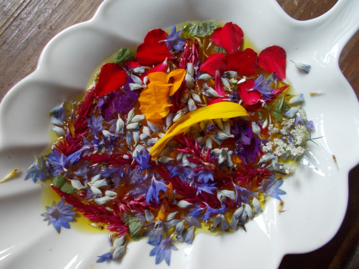 plants-that-repel-bugs